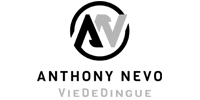 Logo Vie De Dingue