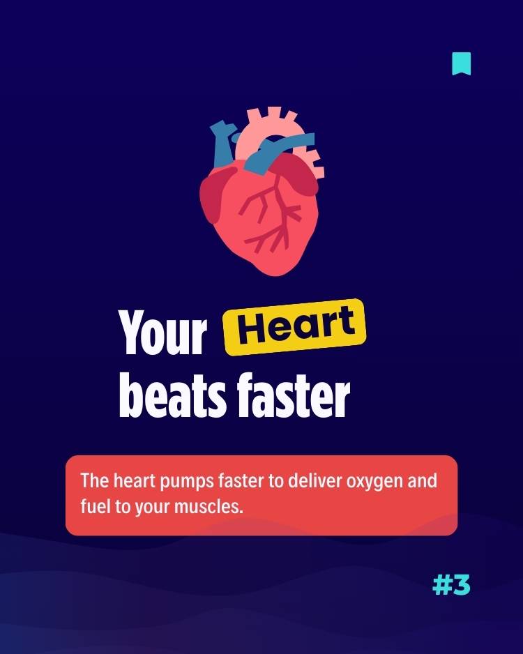 4 Biology of stress - The brain activates the alarm system