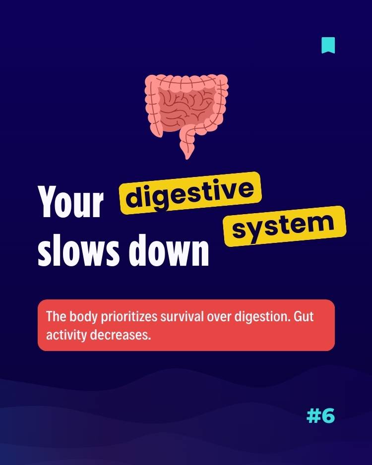 Biology of stress - The digest system slows down Biology of stress - The digest system slows down